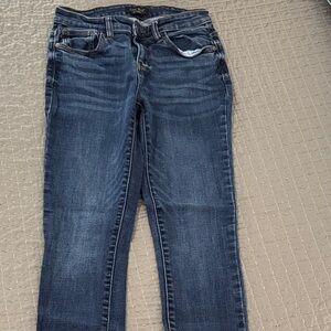 Judy Blue Dark Wash Skinny Jeans